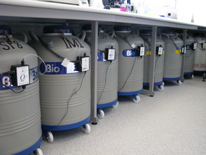 cryotanks-frozen-embryo-storage