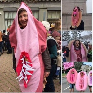 women-protest-more-vaginas