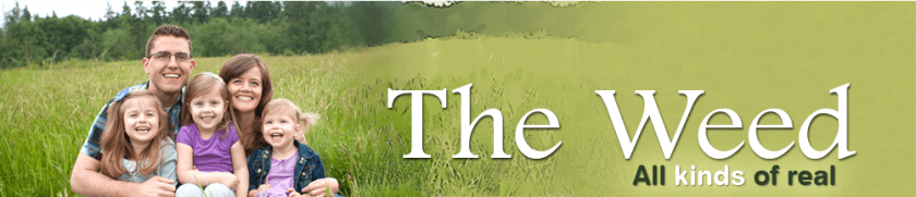 Josh Weed Blog Header