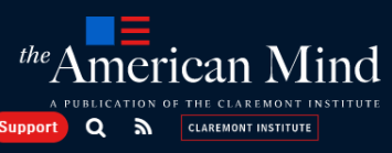 American Mind Banner